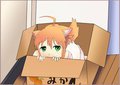 Inside the Orange Box