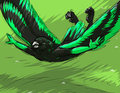 Soar