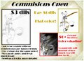 New Commissions Open!