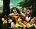 Memories of the past