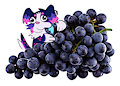 Fred&Grape