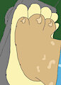 Footsie by Fur915