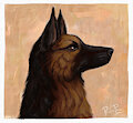 Just a Shepherd
