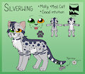 Silverwing Ref. Sheet by rocketterrier