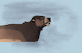 Lake Swim Color by Kuruk