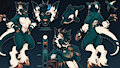 Character Reference Sheet - Teal & Dark Furry by emiliajames