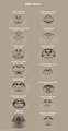 otter nose comparative chart by FrickenStoat
