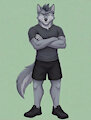 Casual Grey Wolf by emiliajames