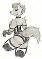 Lingerie 5