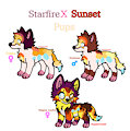 Starfire And Sunset's pups (Cosmo, Sunbeam and Magma Sunfire)