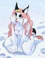 Gift for gray.wolf