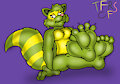 Lemons raccoon Toesie toes by TheRedSkunk
