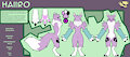 Haiiro Ref Sheet - SFW - Whiskers Art