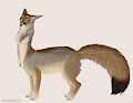 Blandford's Fox (Adoptable) by FrickenStoat
