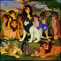 What a perfect lovely group of lions
