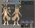 caedes is a dillhole by mechanicalApocalypse