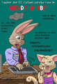 Servicehase by Cap