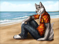 Beach Wolf - Commission for GoGoWolf by DreamAndNightmare