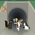 HillClanstober 3 - DarkClan by rocketterrier