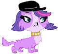 Littlest Pet Shop (2012 Series) - Zoe Trent by CBCAmesburyFan