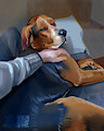 Photo study (secret stream result)