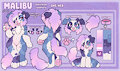 Malibu ref sheet! by FloofyIsAFloof