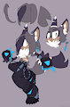 Nyx the wolf