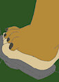 Footsie by Fur915