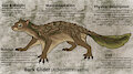 The Bark Glider by ShamanSquirrel