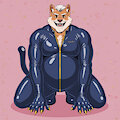 Shiny Suit, Soft Heart by Crimba