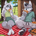 18 - Picnic