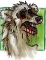 Marble polecat by Ticon by Juniper