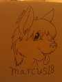 freebie : marcus18