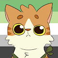 the guy by catshaped
