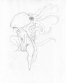 Squed by FenSketch