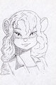 Notebook. by VylfGor