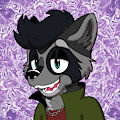 Raccoon PNGTuber