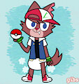 Padded Pok&eacute; Master by GibsonFreak49