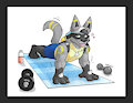 Lucario training