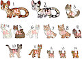 Cat Adopts [14/14 OPEN] by Werewolfbusiness