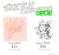 Sketch Commissions OPEN