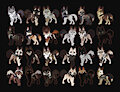 OPEN WOLF CHIBI ADOPTS by somnoire