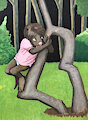 Corkscrew Willow