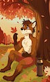 Autumn Serenity