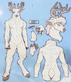 Deer / Cervine Character Sheet by emiliajames