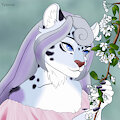 Aurora by Tylaryla