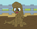 Penny happy and muddy by mucky