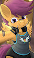 Scoots!