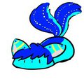 Rain Cloud Slug