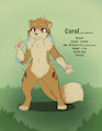 Coral (Non-pokemon redesign)